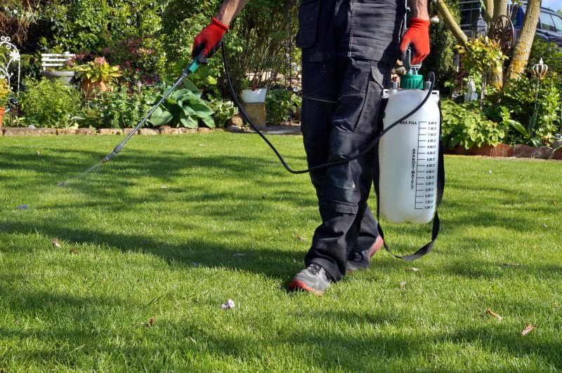 Crabgrass Prevention in Honolulu, HI