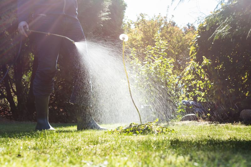Crabgrass Removal in Rockwall, TX