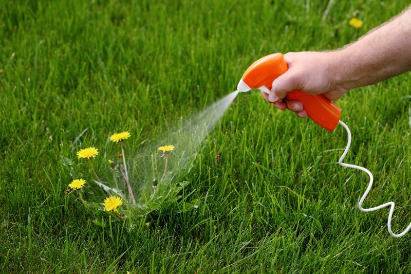 Lawn Herbicide Treatment in Ventura County, CA