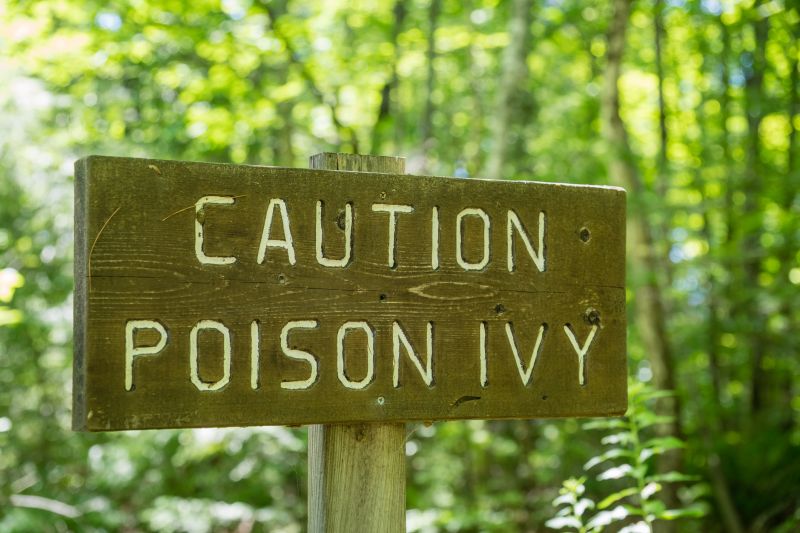 Poison Ivy Control