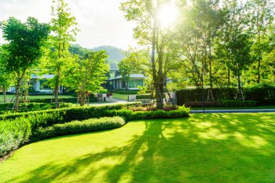 Get A Beautiful Yard With Curb Appeal!